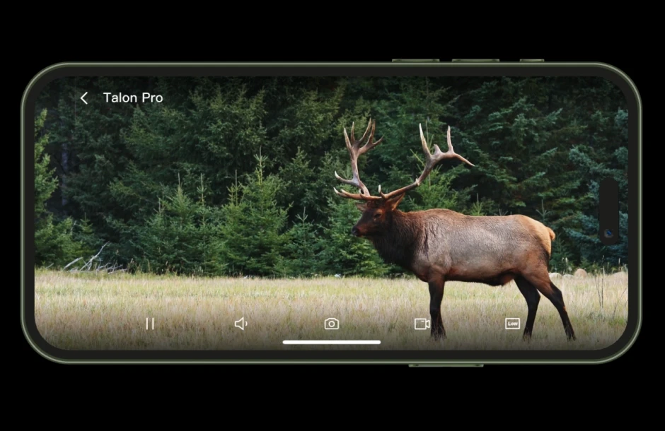 REOLINK CAMOVUE TALON PRO 4K 4G