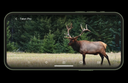REOLINK CAMOVUE TALON PRO 4K 4G