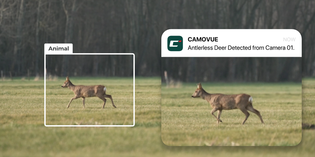 REOLINK CAMOVUE TALON PRO 4K 4G