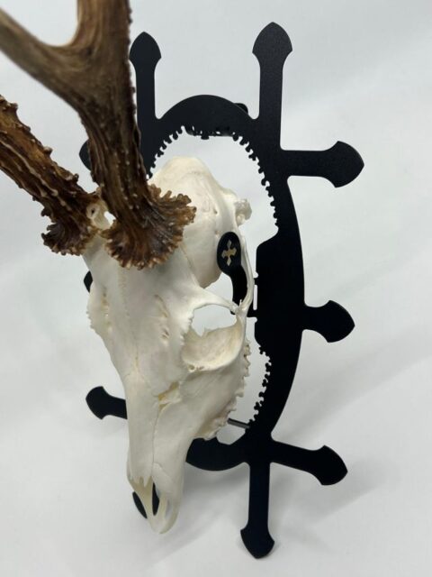 Nosač za trofej srnjaka TROPHY CARRIER