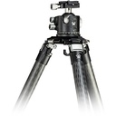 VORTEX RADIAN Tripod Kit (Ball Head)