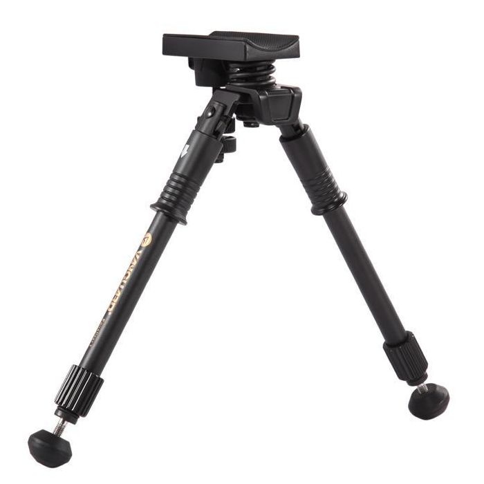 VANGUARD EQUALIZER 2