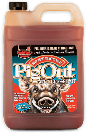 EVOLVED PIG OUT 3,8L