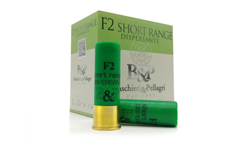 BASCHIERI&amp;PELLAGRI F2 DISPERSANTE 16/70 31g