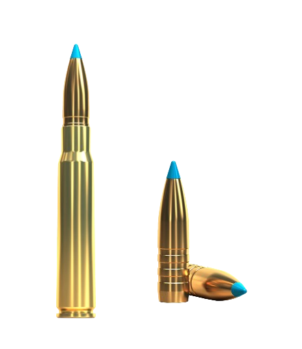 Sellier &amp; Bellot TXRG 8X57 11,7g