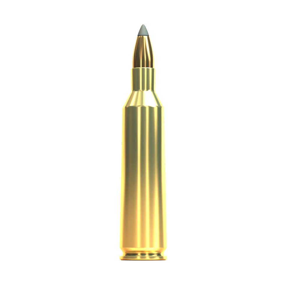 Sellier&amp;Bellot 22-250 SBT 3,6g