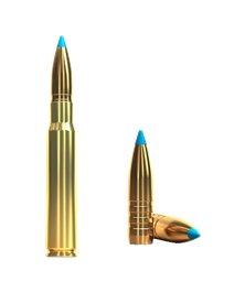 [11V34172] Sellier &amp; Bellot TXRG 8X57 11,7g
