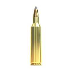 [11V330462] Sellier&amp;Bellot 22-250 SBT 3,6g