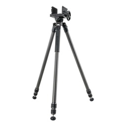 [L263CGM] VANGUARD ENDEAVOR L263 CGM