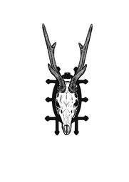 [NST] Nosač za trofej srnjaka TROPHY CARRIER